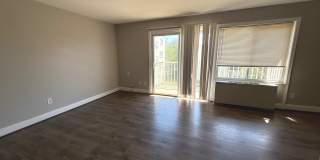 1005 CHILLUM Road Gallery 2