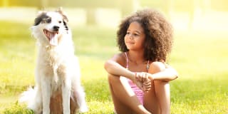 Eclipse 96 Apartments Gallery 2