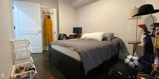 Renovated 4-bed/2-bath in Brookline! Gallery 7