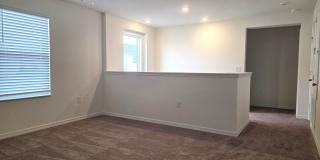 Brand New 2 Story 3/2.5 in Cypress Bluff Gallery 19