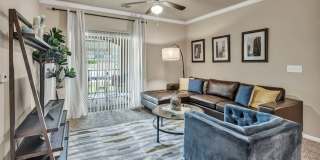 Belterra Springs Gallery 19