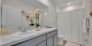 3534 MARIGOLD PATCH Court 3534 MARIGOLD PATCH Court Gallery 15