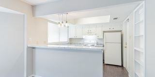 8406 Cactus Creek Dr 8406 Cactus Creek Dr Gallery 7
