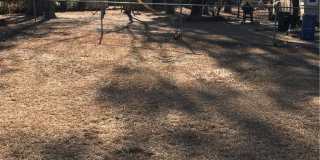 6717 Sandfield Court Gallery 28