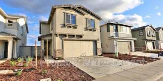 2049 Shady Tree Circle Gallery 1