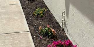 1342 Opal B Gallery 22