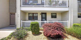 169 Wharfside Drive Gallery 2