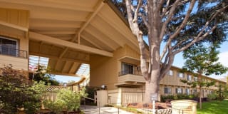 Maplewood Gallery 28