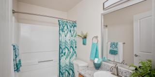 Millennium Park Gallery 5