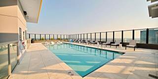 The Ellis Gallery 17