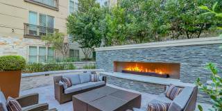 Windsor South Lamar Gallery 8