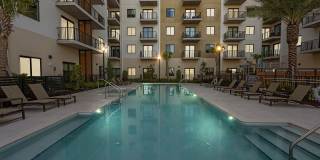 Luna at Viera Gallery 1