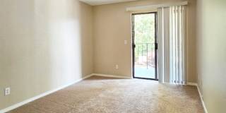 Orchard Park Apartments Gallery 17