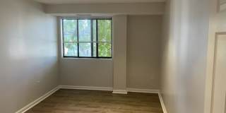 38 lyme Gallery 1