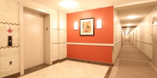 Henderson Park Gallery 19