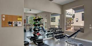 Sonoma Landing Gallery 16