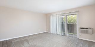 Volterra at La Mesa Gallery 74