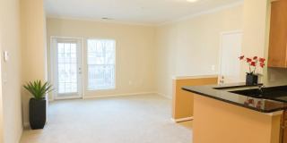 1516 NORTH POINT DR #204 Gallery 1