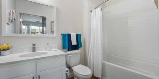 Gallery 3100 Gallery 21