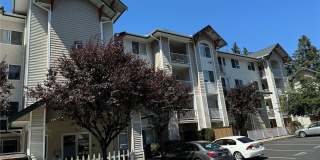 2bd/2ba Newcastle Condo Gallery 1