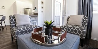 Paloma Gallery 2