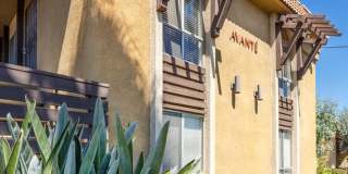 Elán Avante Apartment Homes Gallery 11