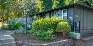 Pinewood Terrace Gallery 13