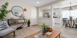 240 Spring Street Gallery 1