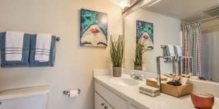 The Overlook at Bernardo Heights Gallery 224