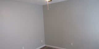 -- Gallery 16