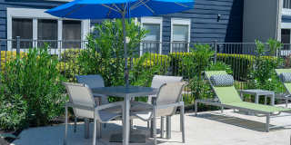 Willow Springs Gallery 18