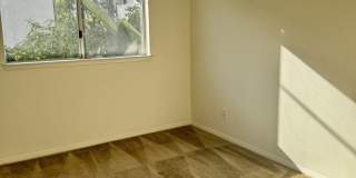 451 South Oakland Avenue - 8 Gallery 13