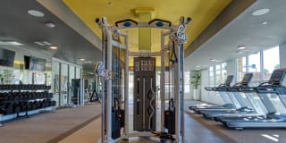 Lucent Scottsdale Gallery 3