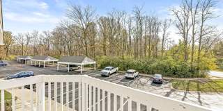 Buffalo Creek Apartments Gallery 59