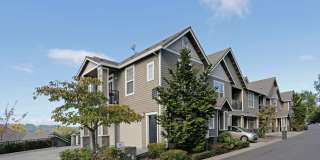 Summerlinn Gallery 47