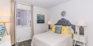 Rise North Ridge Gallery 44