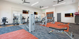 Legacy at Veramendi Gallery 10