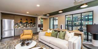 The Aston at Town Center Gallery 17