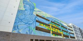 900 Willow Gallery 43