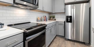 Advenir at Dawson Hills Gallery 3