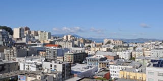 The Terraces Gallery 16