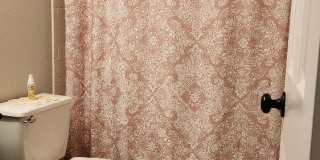 5200 Donegal Bay Ct Gallery 10