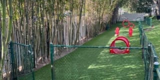 Palms of Clearwater Gallery 24