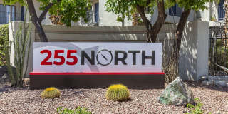 255 North Gallery 30