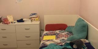 17 symphony Gallery 7