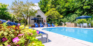 Lake Forest Apartments Gallery 17