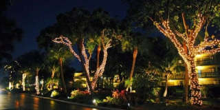 6 Royal Palm Way Gallery 23