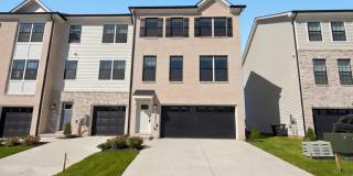 15037 DOUGLAS FIR Lane Gallery 1