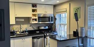 44 Melrose St Gallery 2