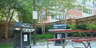 Thomas Court Gallery 11